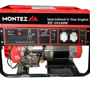 LPG/Gasoline Generator